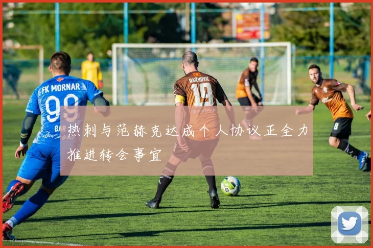 热刺与范赫克达成个人协议正全力推进转会事宜